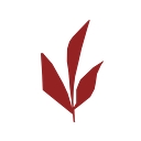 mma-makeupacademy.com logo
