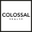 Colossalhealth logo