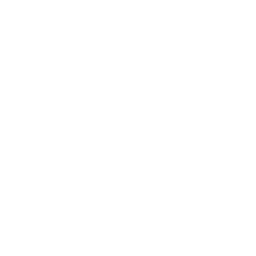 Catalyst Holdings logo