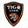 TIGR Lock logo