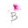 Blushing Cook logo