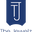 thejewelz.com logo
