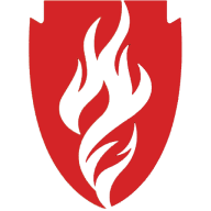 Fire Windows Direct logo