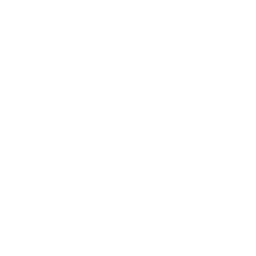 Manalive logo