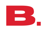 Brickvelocity logo
