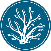 Maui Divers Jewelry logo