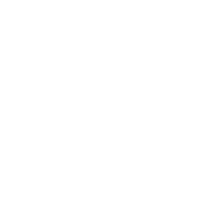Book Writing Service logo