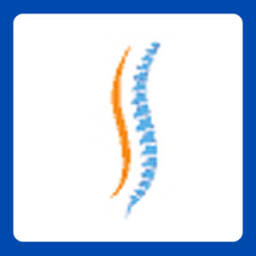 Physio Soton logo