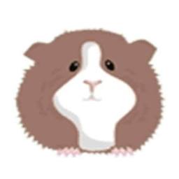C & C Guinea Pig Cages logo