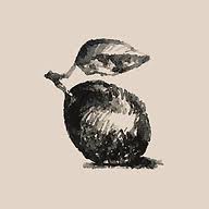 Plum Cottages logo