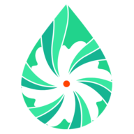 Salila's Ultimate Cleanse Program logo