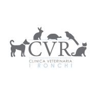Clinicaveterinariaironchi logo