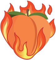 BOOTYCOACH logo
