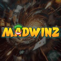 Madwinz logo