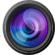 Platinum Asset Protection logo