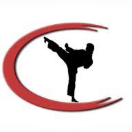 Total Combat logo
