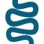 yourbiology logo