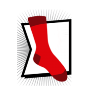 The Red Sock Launderette and Cleaning Service Ltd logo
