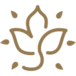MIRACLE SEED logo