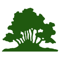 Bonsai Scissors logo