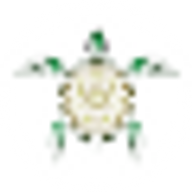 dreamingturtlesoap.com logo