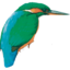 Theobolds Coaches and Holidays Ltd. logo