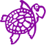 Purpleturtle logo