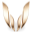 Skyrimwrist logo