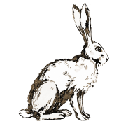 bunnywilliamshome.com logo