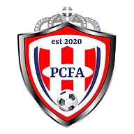 Pro Champions Football Academy logo