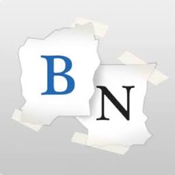 Bidnapper logo