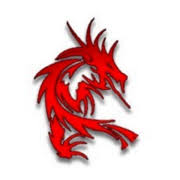 Red Dragon IT Solution Ltd logo