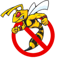 Bob The Wasp logo