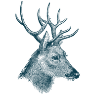 Heathylea logo