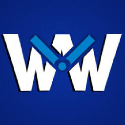Watchinspect logo