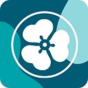 Pro DPI logo