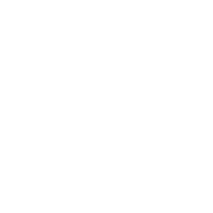 Style Matters logo