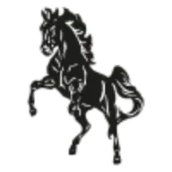 Marshalls Coaches LLP logo