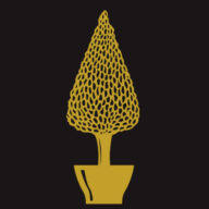Anglo Eastern Trading Ltd logo