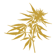 Sacred Oil logo