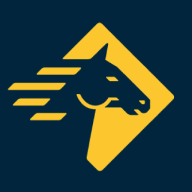 Paladin Security logo