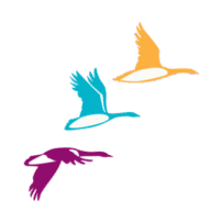 Prométour Educational Tours logo