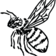 Florence and Bee logo