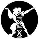 kimerakoffee.com logo