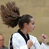 Daventry Tigers Taekwondo logo