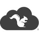 Squirrels logo