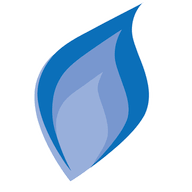The Gas Shop logo