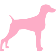 WetPetsGroomingVans logo