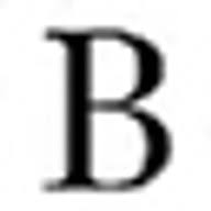 Butzi Gift Baskets Toronto logo