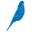 Budgy Smuggler logo